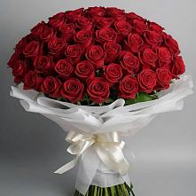 Букет 101 Красная роза Блэк Мэджик в Новой Ляде