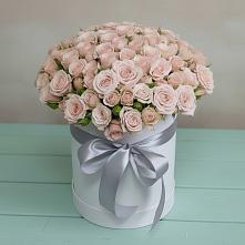 Цветочная композиция из Розы в шляпной коробке #REPLACE_PRED# Новой Ляде