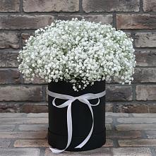 Цветочная композиция из Гипсофила в шляпной коробке в Новой Ляде