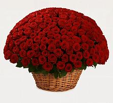 Премиум букет из: Розы в Новой Ляде