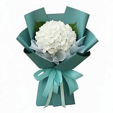 Букет цветов из:  Гортензия #REPLACE_PRED# Новой Ляде